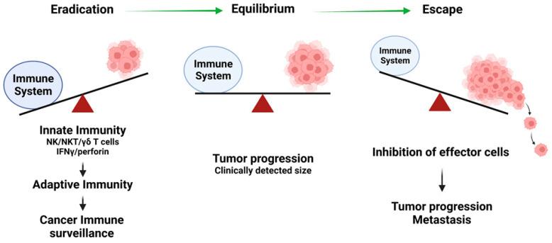 https://cdn.ncbi.nlm.nih.gov/pmc/blobs/33c6/10136863/33407a621c14/cancers-15-02323-g002.jpg