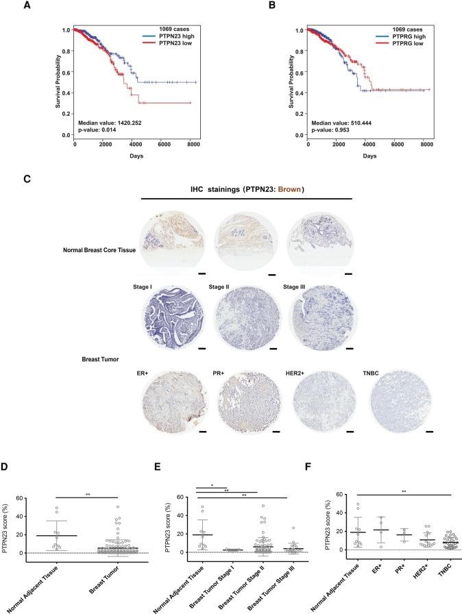 https://cdn.ncbi.nlm.nih.gov/pmc/blobs/33c8/5710140/29370890b5e0/1939f01.jpg