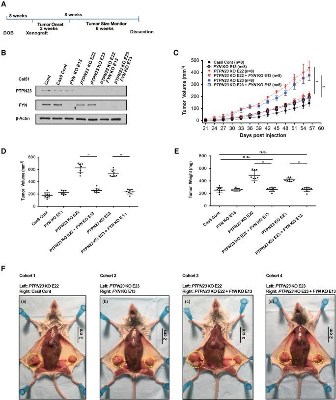 https://cdn.ncbi.nlm.nih.gov/pmc/blobs/33c8/5710140/79fb4e0cd297/1939f06.jpg