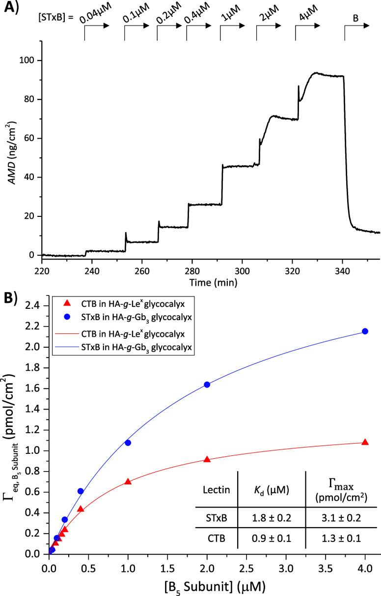 https://cdn.ncbi.nlm.nih.gov/pmc/blobs/33c9/12188407/0ac0527089ab/au5c00305_0006.jpg