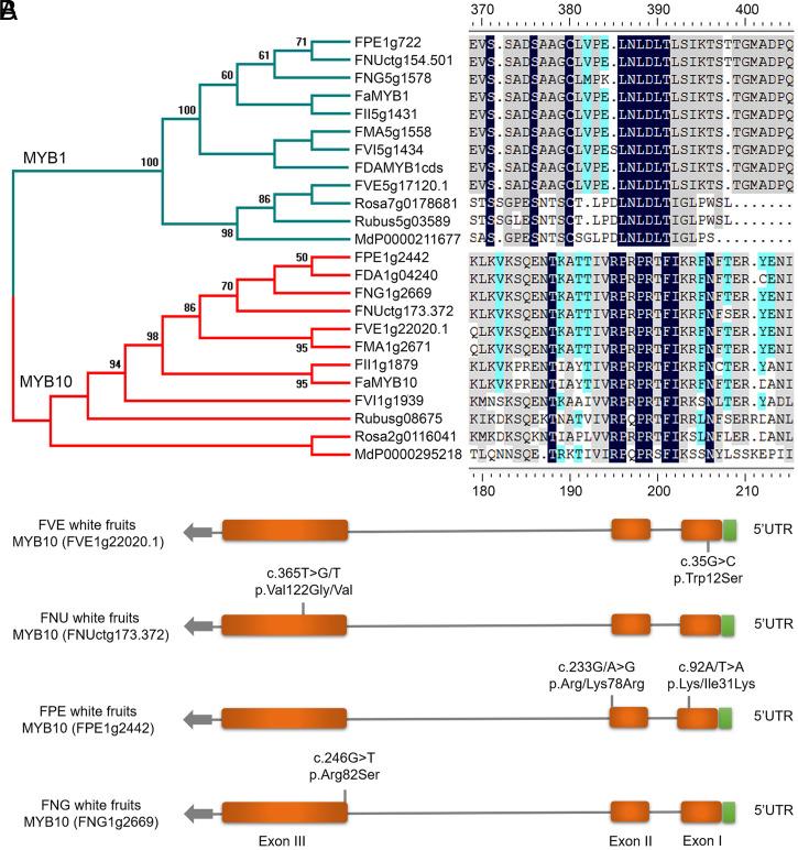 https://cdn.ncbi.nlm.nih.gov/pmc/blobs/33ca/8609306/824714472d09/pnas.202105431fig04.jpg