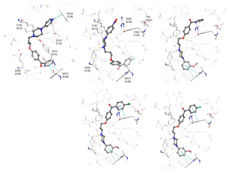 https://cdn.ncbi.nlm.nih.gov/pmc/blobs/33cb/8071534/b61a1d988df0/molecules-26-02300-g003.jpg