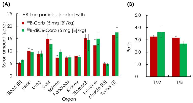 https://cdn.ncbi.nlm.nih.gov/pmc/blobs/33cc/11719788/1d2dfb21262a/cells-14-00060-g003.jpg