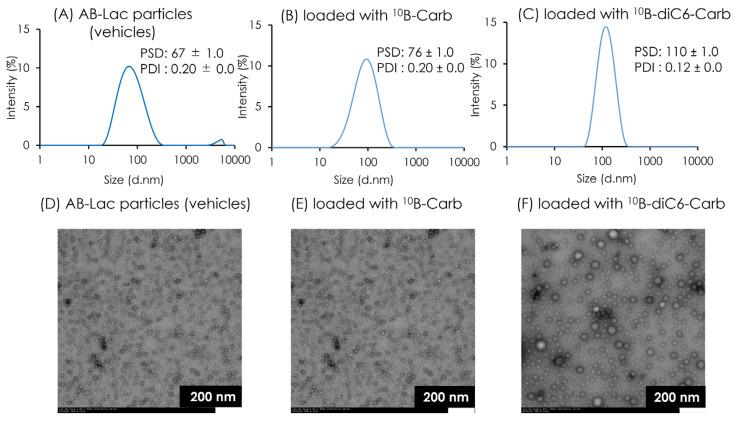 https://cdn.ncbi.nlm.nih.gov/pmc/blobs/33cc/11719788/f2ade5b6f9df/cells-14-00060-g002.jpg