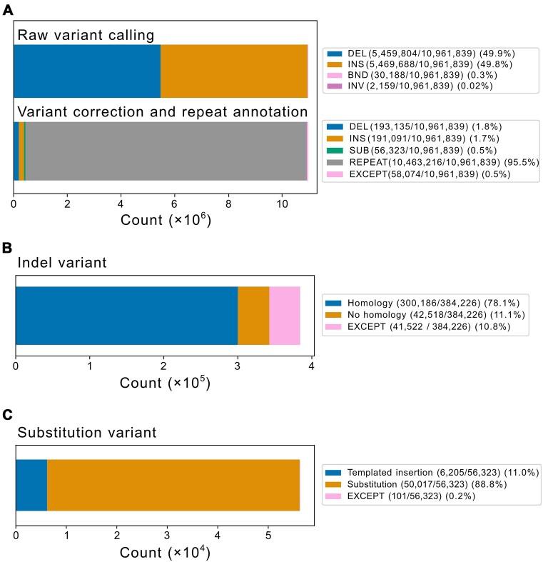 https://cdn.ncbi.nlm.nih.gov/pmc/blobs/33cc/11724358/d19c3c144ed2/gkae1295fig2.jpg