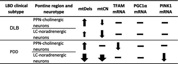 https://cdn.ncbi.nlm.nih.gov/pmc/blobs/33cd/12341794/a69617d608f8/ACEL-24-e70125-g004.jpg