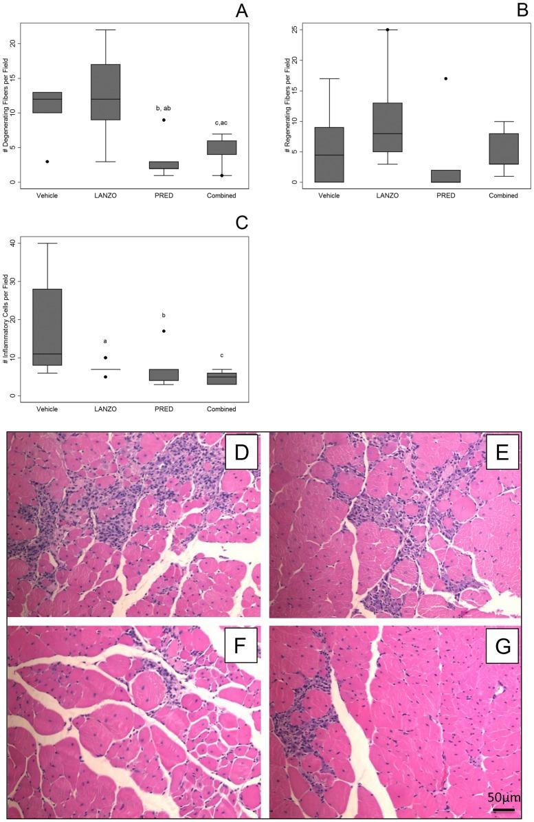 https://cdn.ncbi.nlm.nih.gov/pmc/blobs/33cd/3699610/5904f866bee5/pone.0066617.g003.jpg