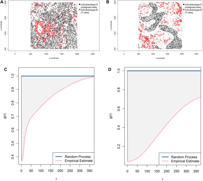 https://cdn.ncbi.nlm.nih.gov/pmc/blobs/33cd/8226163/109ea16defed/fmolb-08-668340-g013.jpg