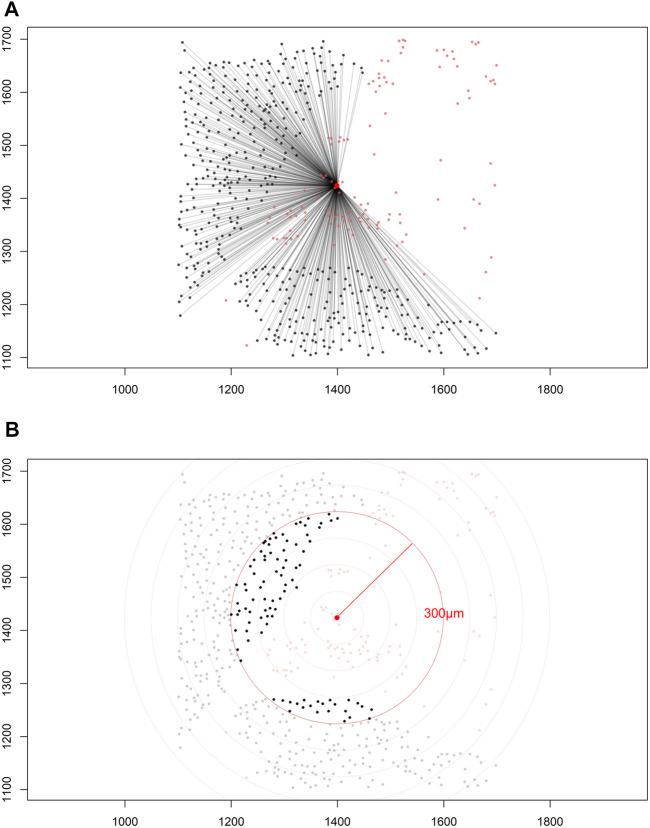 https://cdn.ncbi.nlm.nih.gov/pmc/blobs/33cd/8226163/6a826f5e0e68/fmolb-08-668340-g005.jpg