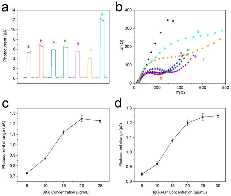 https://cdn.ncbi.nlm.nih.gov/pmc/blobs/33cd/9611374/7792418e0ed4/nanomaterials-12-03557-g006.jpg