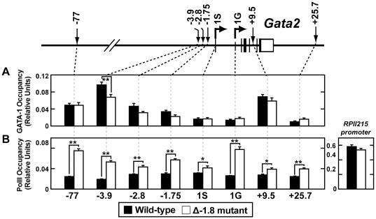 https://cdn.ncbi.nlm.nih.gov/pmc/blobs/33ce/2936534/56a7907ecceb/pgen.1001103.g006.jpg