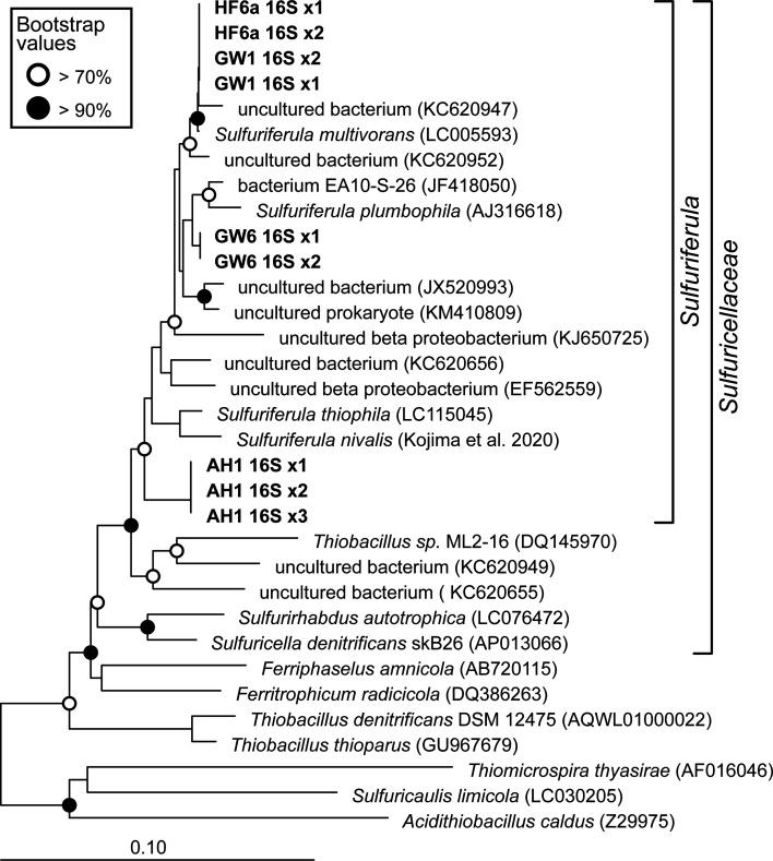 https://cdn.ncbi.nlm.nih.gov/pmc/blobs/33d1/12285272/b8420266d902/aem.00216-25.f001.jpg