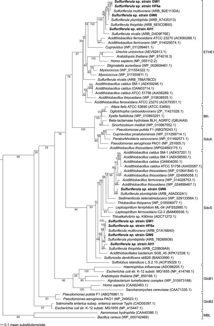 https://cdn.ncbi.nlm.nih.gov/pmc/blobs/33d1/12285272/eb340a784199/aem.00216-25.f004.jpg
