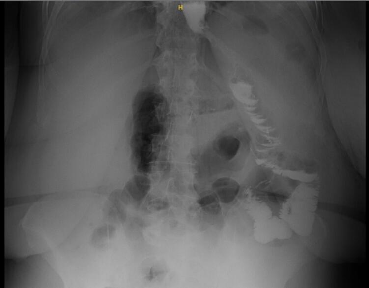 https://cdn.ncbi.nlm.nih.gov/pmc/blobs/33d4/11378216/b67d01f679c4/gr1.jpg