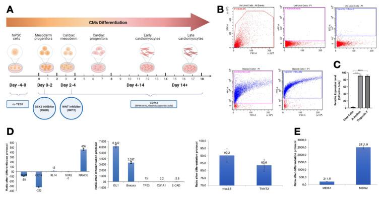 https://cdn.ncbi.nlm.nih.gov/pmc/blobs/33d4/11698199/e79ee10263f5/tjb-48-06-414f3.jpg