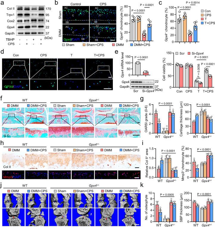 https://cdn.ncbi.nlm.nih.gov/pmc/blobs/33d4/9494174/6ff652008b32/gr6.jpg