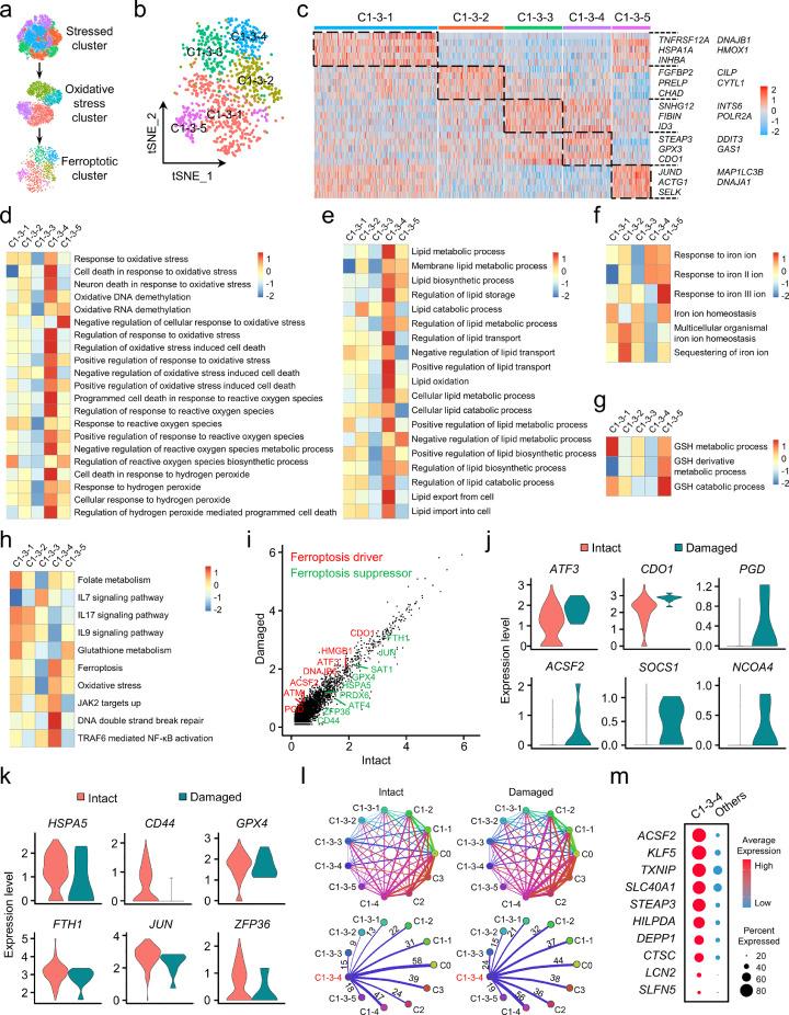 https://cdn.ncbi.nlm.nih.gov/pmc/blobs/33d4/9494174/7ea961f3f26e/gr3.jpg
