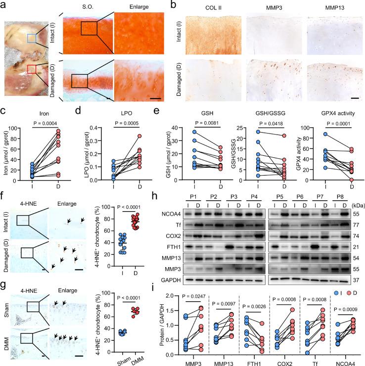 https://cdn.ncbi.nlm.nih.gov/pmc/blobs/33d4/9494174/8525150a5338/gr1.jpg