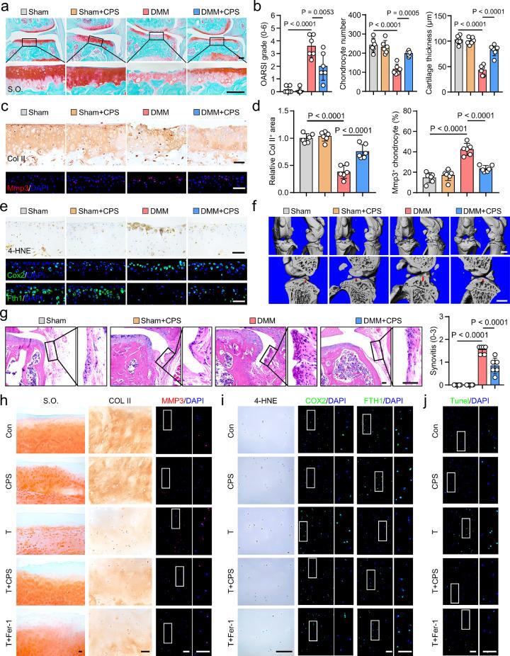 https://cdn.ncbi.nlm.nih.gov/pmc/blobs/33d4/9494174/a05d48340f2b/gr5.jpg