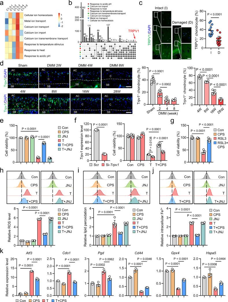 https://cdn.ncbi.nlm.nih.gov/pmc/blobs/33d4/9494174/d2c04dc398bd/gr4.jpg