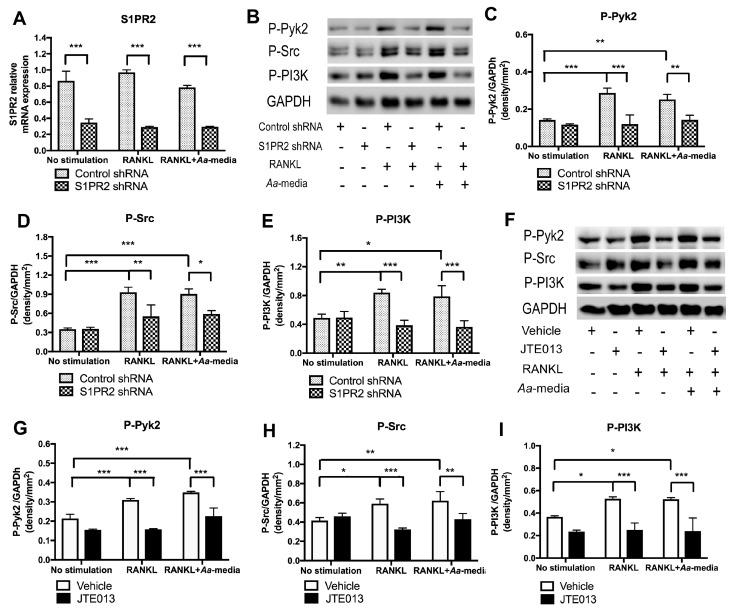 https://cdn.ncbi.nlm.nih.gov/pmc/blobs/33d5/6357083/4ecbc9d8baf7/cells-08-00017-g006.jpg