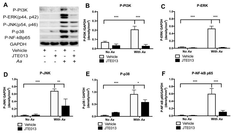 https://cdn.ncbi.nlm.nih.gov/pmc/blobs/33d5/6357083/7c926647a5aa/cells-08-00017-g002.jpg
