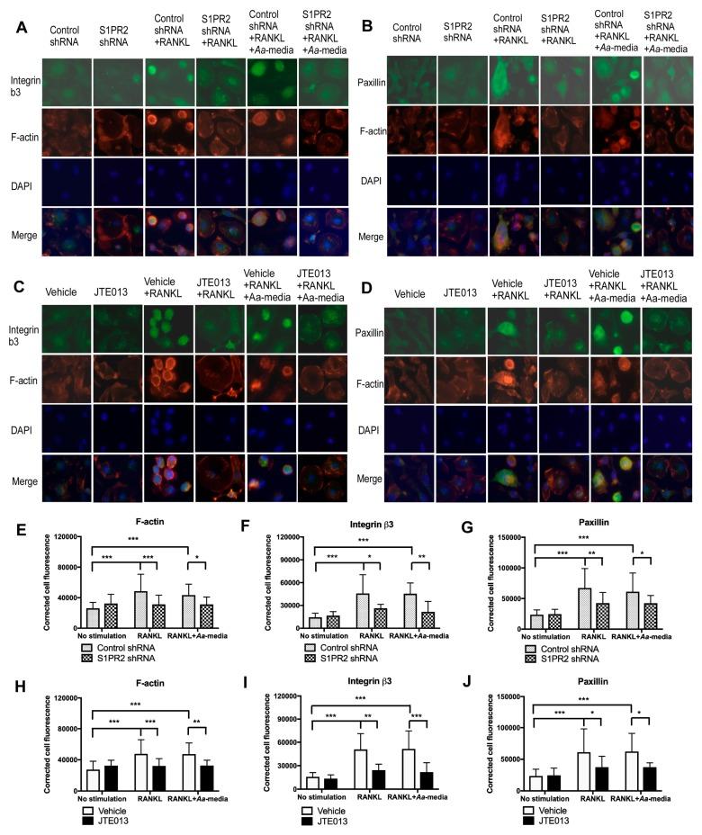 https://cdn.ncbi.nlm.nih.gov/pmc/blobs/33d5/6357083/7f6141e80af6/cells-08-00017-g008.jpg