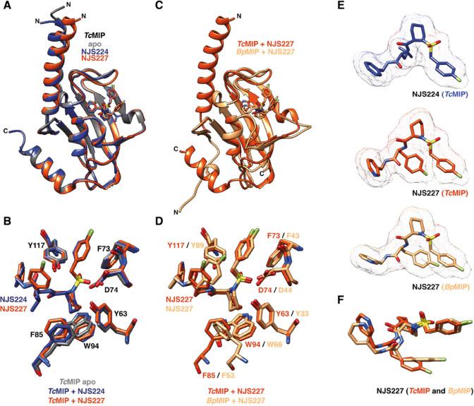 https://cdn.ncbi.nlm.nih.gov/pmc/blobs/33d7/11912469/117aad8d25f9/jm5c00134_0002.jpg