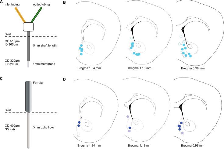 https://cdn.ncbi.nlm.nih.gov/pmc/blobs/33d7/12234004/0ccbf4500841/elife-91609-fig3-figsupp1.jpg