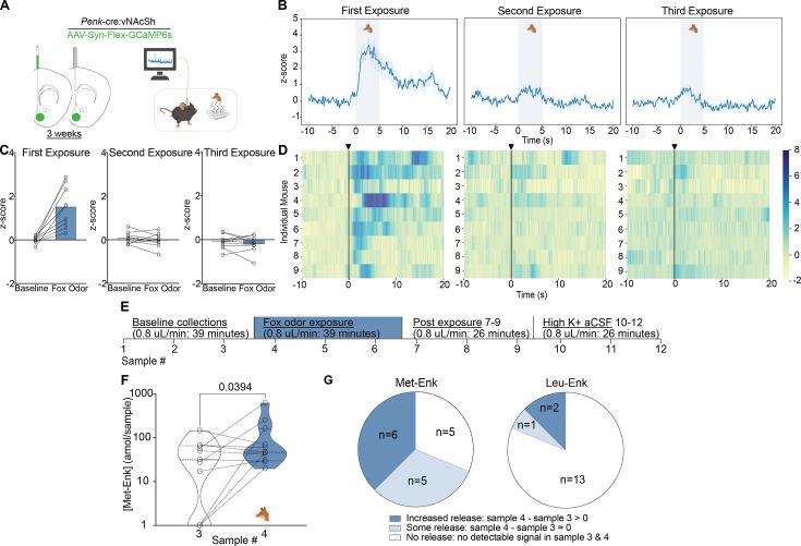 https://cdn.ncbi.nlm.nih.gov/pmc/blobs/33d7/12234004/79dd28bc468b/elife-91609-fig3.jpg
