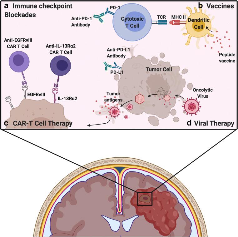 https://cdn.ncbi.nlm.nih.gov/pmc/blobs/33d7/7838142/78364ec0dc05/11912_2020_1007_Fig2_HTML.jpg