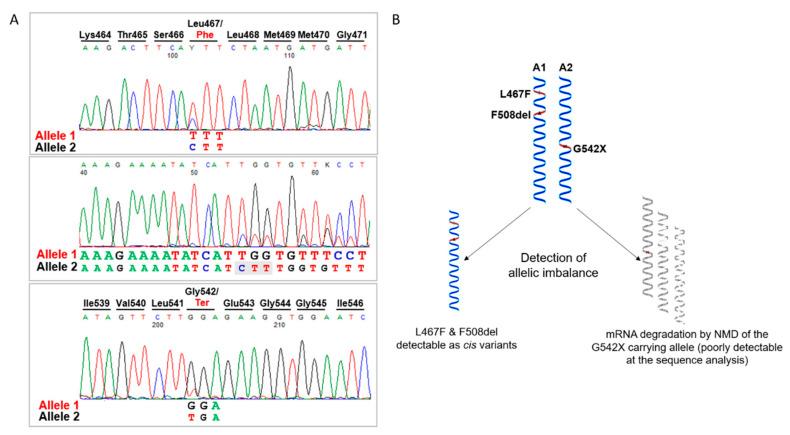 https://cdn.ncbi.nlm.nih.gov/pmc/blobs/33d8/8952007/f566274ae9ee/ijms-23-03175-g002.jpg