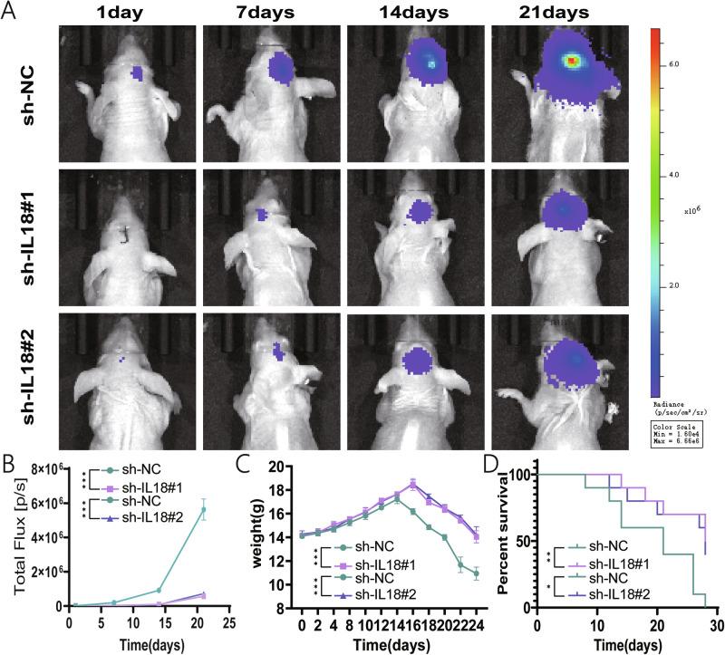 https://cdn.ncbi.nlm.nih.gov/pmc/blobs/33da/12177085/7b4e6e7275dc/41698_2025_966_Fig5_HTML.jpg