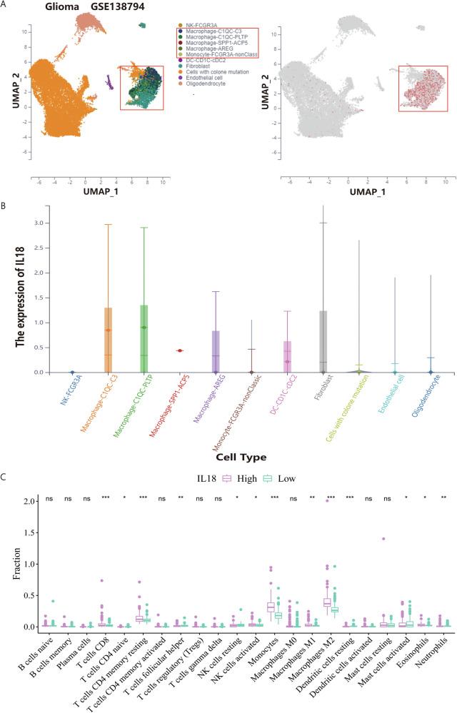 https://cdn.ncbi.nlm.nih.gov/pmc/blobs/33da/12177085/8758fd97c807/41698_2025_966_Fig3_HTML.jpg