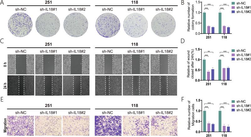 https://cdn.ncbi.nlm.nih.gov/pmc/blobs/33da/12177085/96c310f187a0/41698_2025_966_Fig4_HTML.jpg