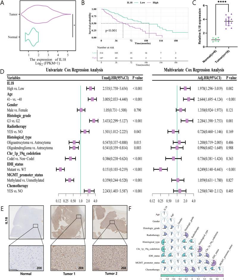 https://cdn.ncbi.nlm.nih.gov/pmc/blobs/33da/12177085/b1807a372d0d/41698_2025_966_Fig2_HTML.jpg