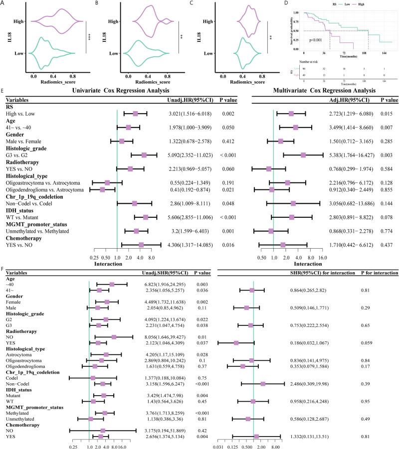 https://cdn.ncbi.nlm.nih.gov/pmc/blobs/33da/12177085/b852ec983b96/41698_2025_966_Fig7_HTML.jpg