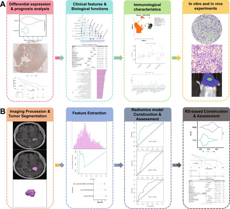 https://cdn.ncbi.nlm.nih.gov/pmc/blobs/33da/12177085/f4138cfc1fad/41698_2025_966_Fig1_HTML.jpg