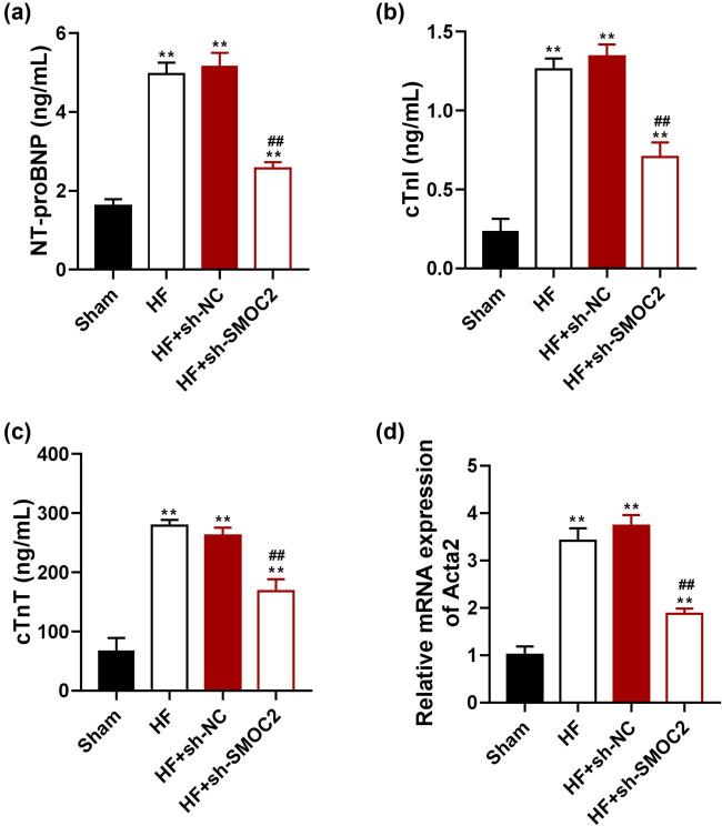 https://cdn.ncbi.nlm.nih.gov/pmc/blobs/33dc/10350896/48f7b0bd6c54/j_med-2023-0752-fig002.jpg