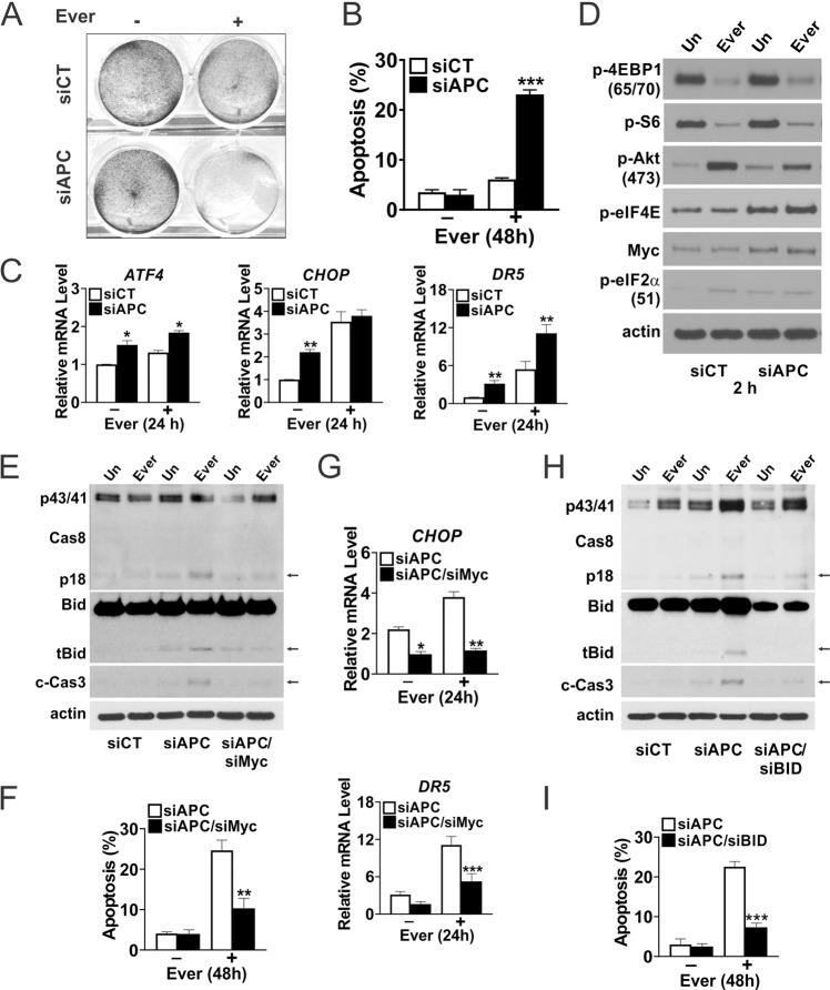https://cdn.ncbi.nlm.nih.gov/pmc/blobs/33dd/10256613/065eb0eb1b90/41388_2023_2706_Fig4_HTML.jpg