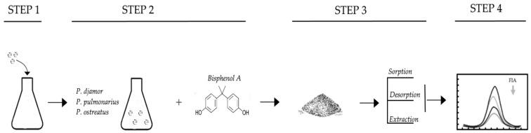 https://cdn.ncbi.nlm.nih.gov/pmc/blobs/33dd/11173710/327121de9f9f/molecules-29-02520-g001.jpg