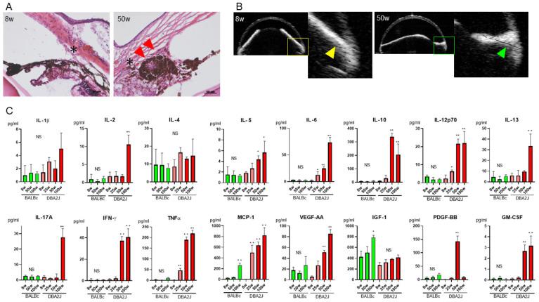 https://cdn.ncbi.nlm.nih.gov/pmc/blobs/33dd/8618311/df5a937c4dab/ijms-22-12268-g002.jpg
