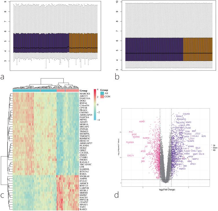 https://cdn.ncbi.nlm.nih.gov/pmc/blobs/33de/12276017/770a7e4a5ded/JIR-18-9283-g0002.jpg