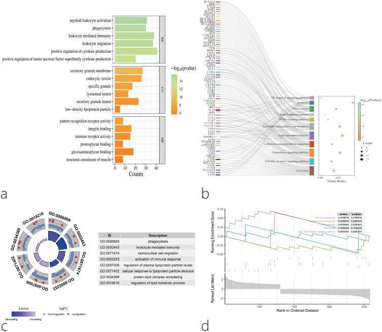 https://cdn.ncbi.nlm.nih.gov/pmc/blobs/33de/12276017/77535f578058/JIR-18-9283-g0006.jpg