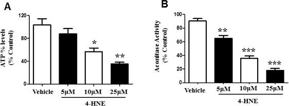 https://cdn.ncbi.nlm.nih.gov/pmc/blobs/33df/4747170/24d252007fef/oncotarget-06-41508-g003.jpg