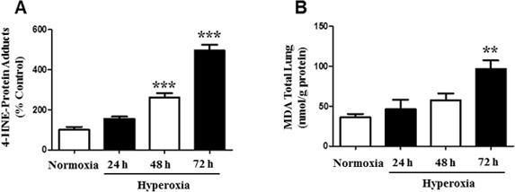 https://cdn.ncbi.nlm.nih.gov/pmc/blobs/33df/4747170/8059a61a8f28/oncotarget-06-41508-g001.jpg