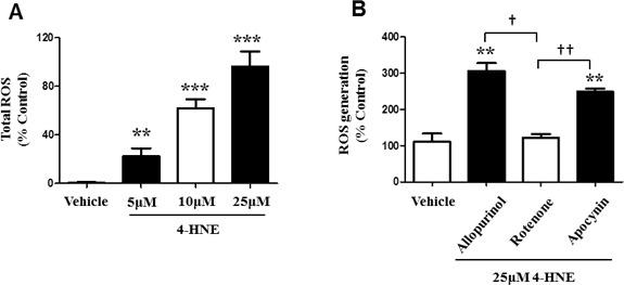 https://cdn.ncbi.nlm.nih.gov/pmc/blobs/33df/4747170/a18d0daa00f7/oncotarget-06-41508-g006.jpg