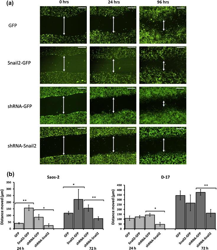 https://cdn.ncbi.nlm.nih.gov/pmc/blobs/33e2/3644682/63344f96ec76/gr3ab.jpg