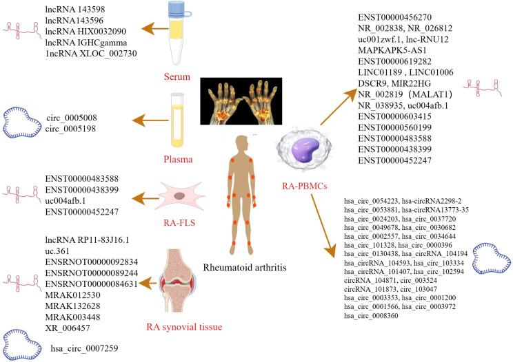 https://cdn.ncbi.nlm.nih.gov/pmc/blobs/33e3/12122316/e90eb35af7fc/fimmu-16-1550839-g001.jpg