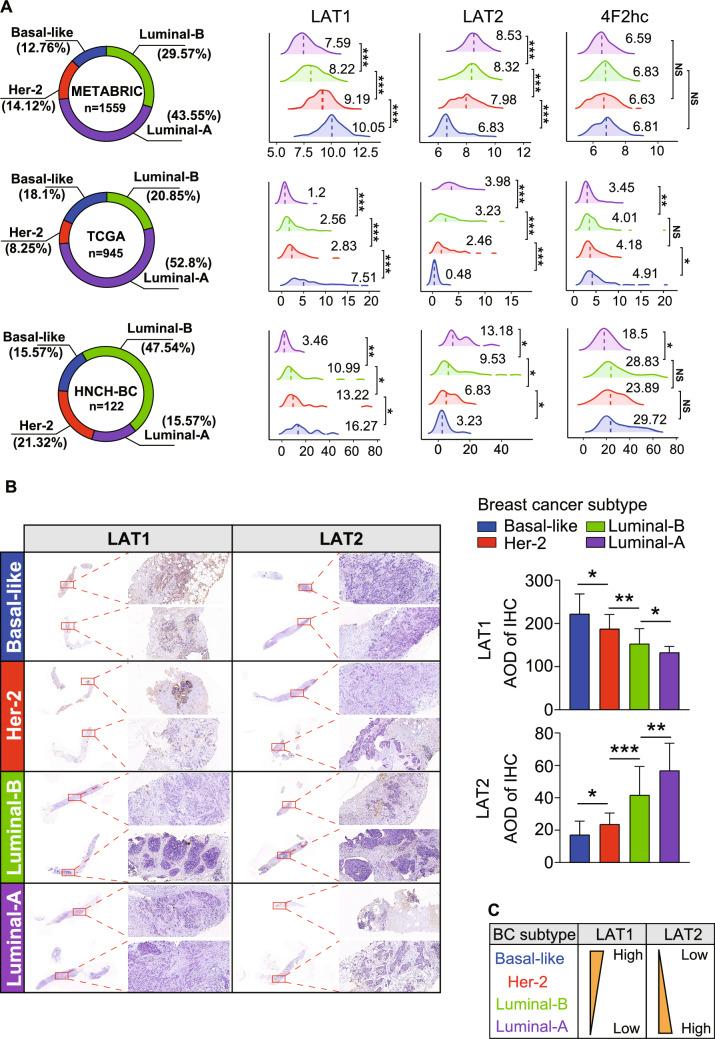 https://cdn.ncbi.nlm.nih.gov/pmc/blobs/33e5/12084285/e42a9f7c102e/726_2025_3456_Fig2_HTML.jpg